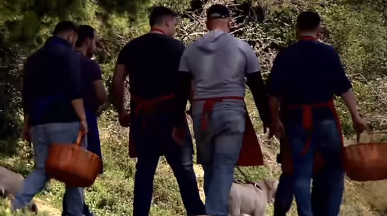 MasterChef παίκτες