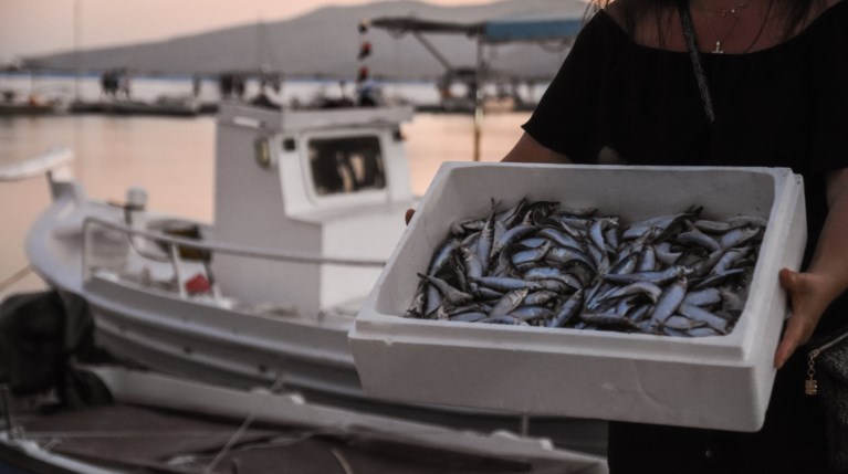 γιορτή σαρδέλας Καλλονής