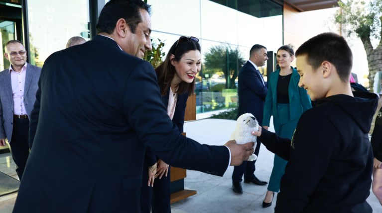 Μεσογειακή φώκια