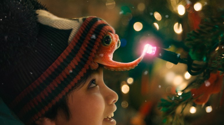 The Boy and The Octopus