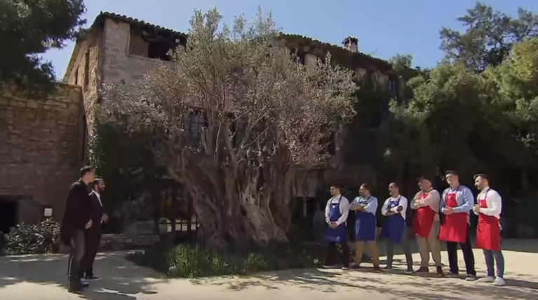 MasterChef ομαδική
