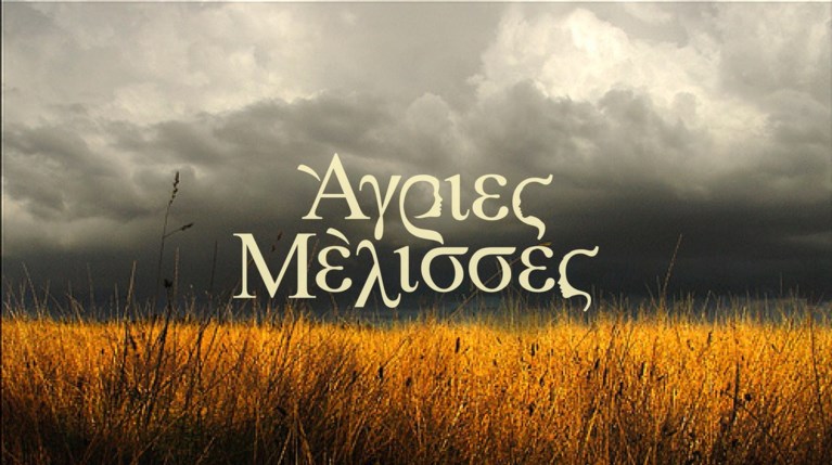 Άγριες Μέλισσες LOGO