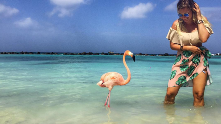 Σε αυτή την παραλία στην Καραϊβική μπορείς να κολυμπήσεις με flamingos