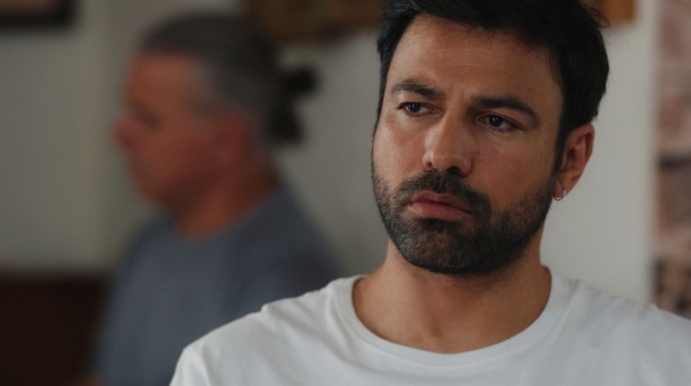 Γη της Ελιάς