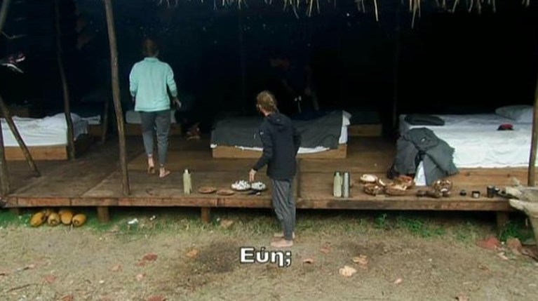 Survivor