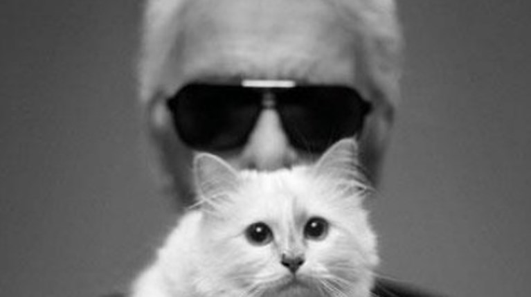 Karl Lagerfeld, Choupette