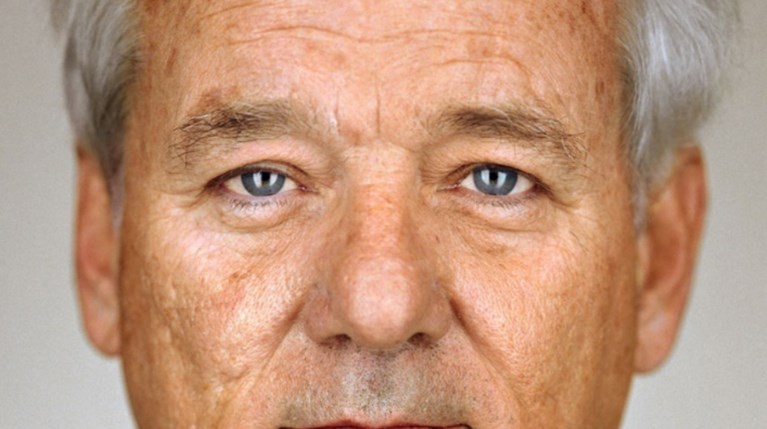 Bill Murray (TMDB)