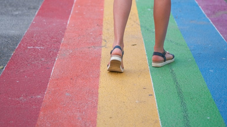 lgbtq