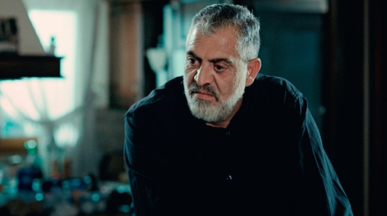 Κούλλης Νικολάου - Η γη της Ελιάς