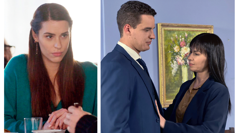 Η Γη της Ελιάς